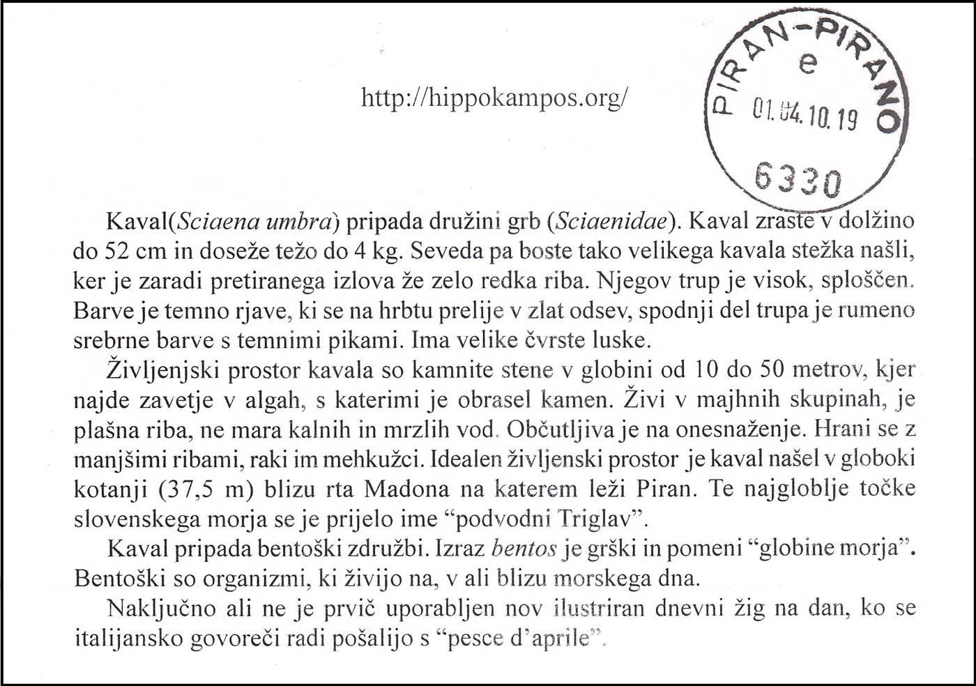 SLOVENSKO MORJE